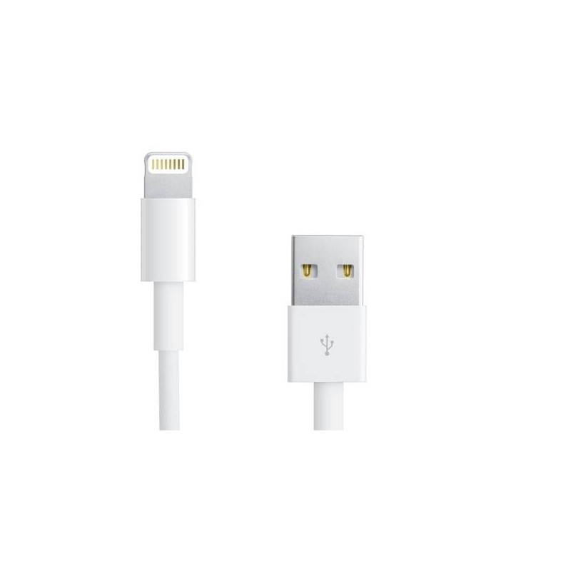 Cable Origine Apple Blanc